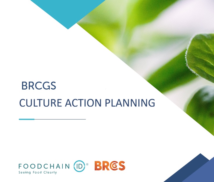 Culture Action Planning (December)