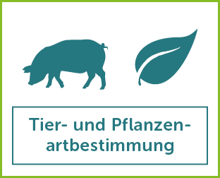 Tier und Pflanzenartbestimmung