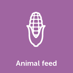 Animal feed Animal feed
