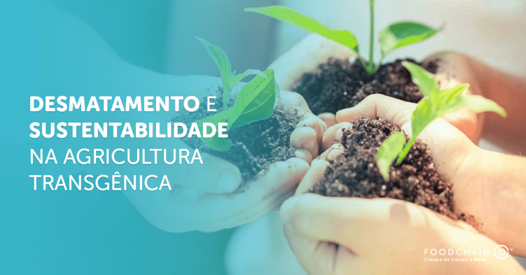 Desmatamento e biodiversidade na agricultura transgênica