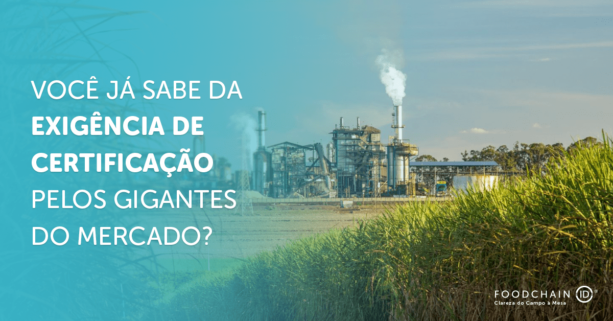usina de cana de açúcar