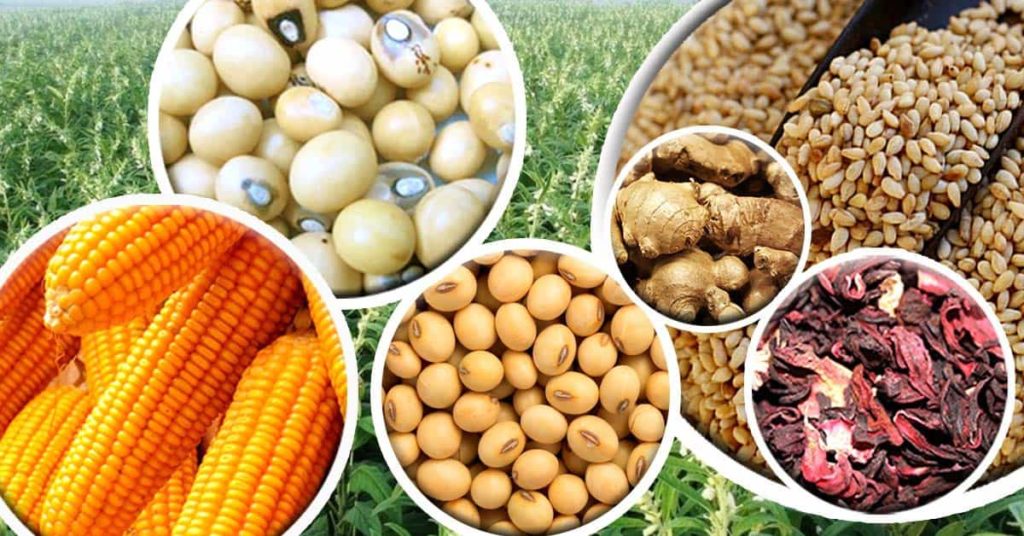  commodities agrícolas milho, soja, arroz
