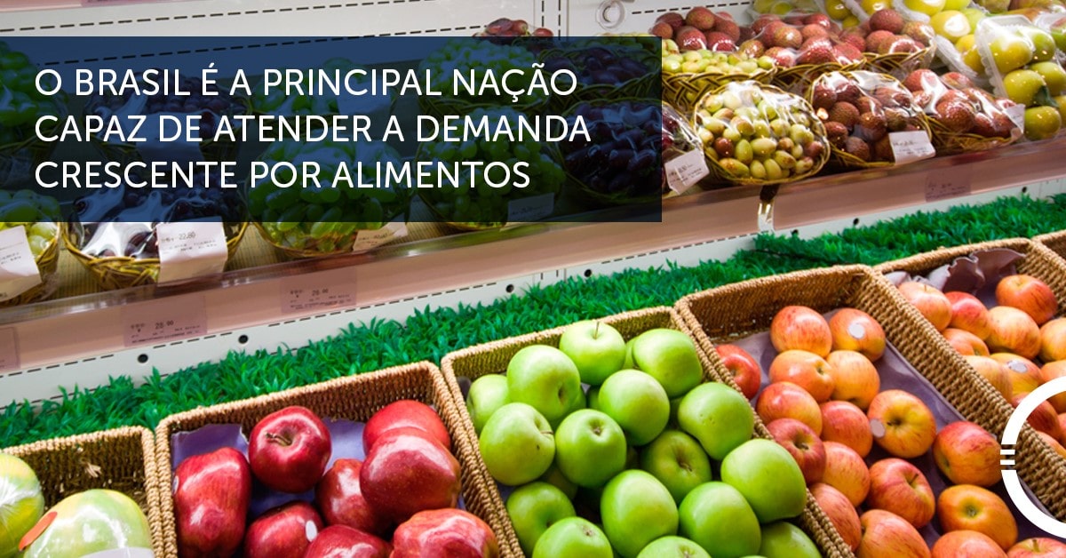 Principais produtos agrícolas exportados pelo Brasil e o mercado da sustentabilidade
