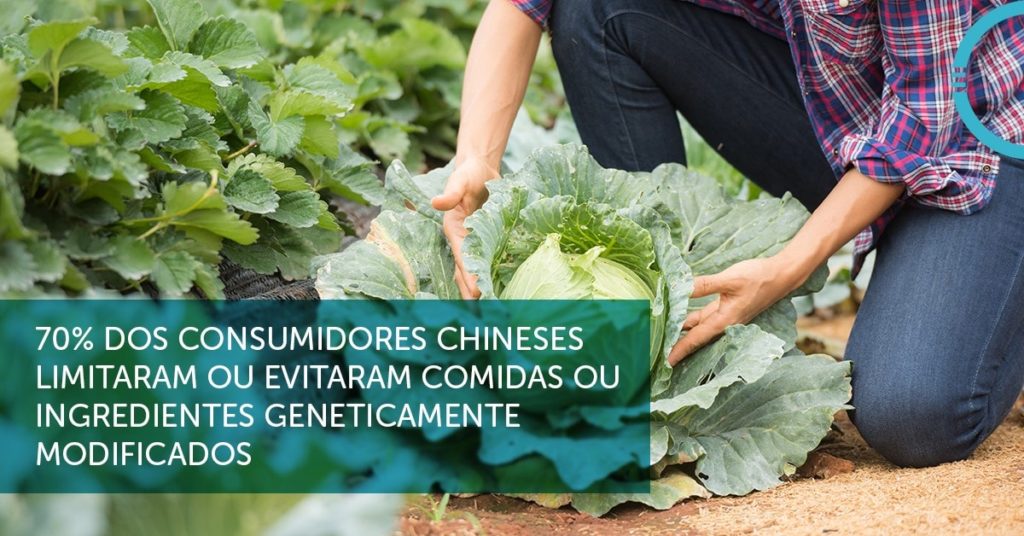 Demanda por alimentos não transgênico é crescente no mundo Demanda por alimentos não transgênico é crescente no mundo