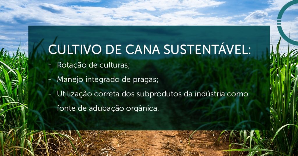 Sustentabilidade na cultura de cana de açúcar 