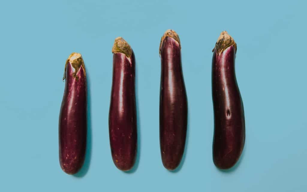 Eggplant supplementation improves blood pressure and psychological