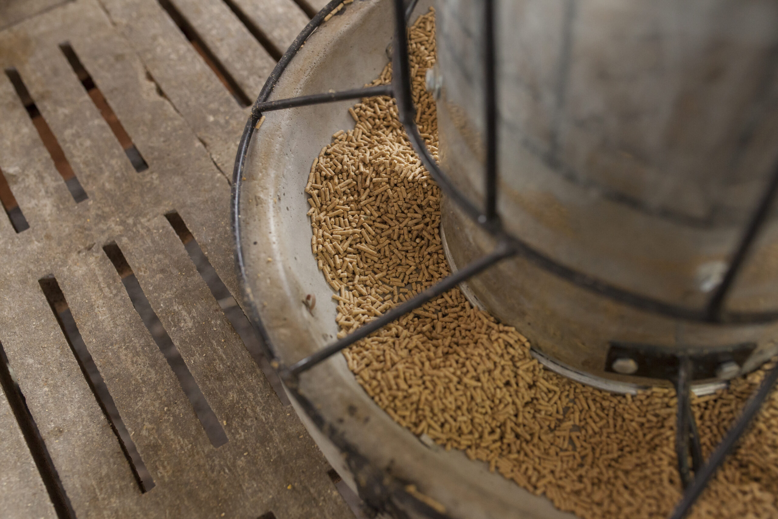 Wood pellets in metal container and scoop.