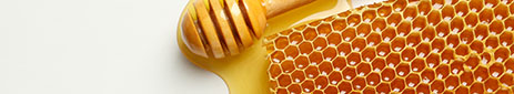Honeycombs, honey and dipper