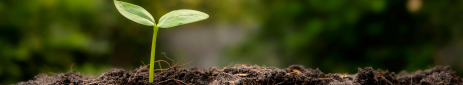 sustainability