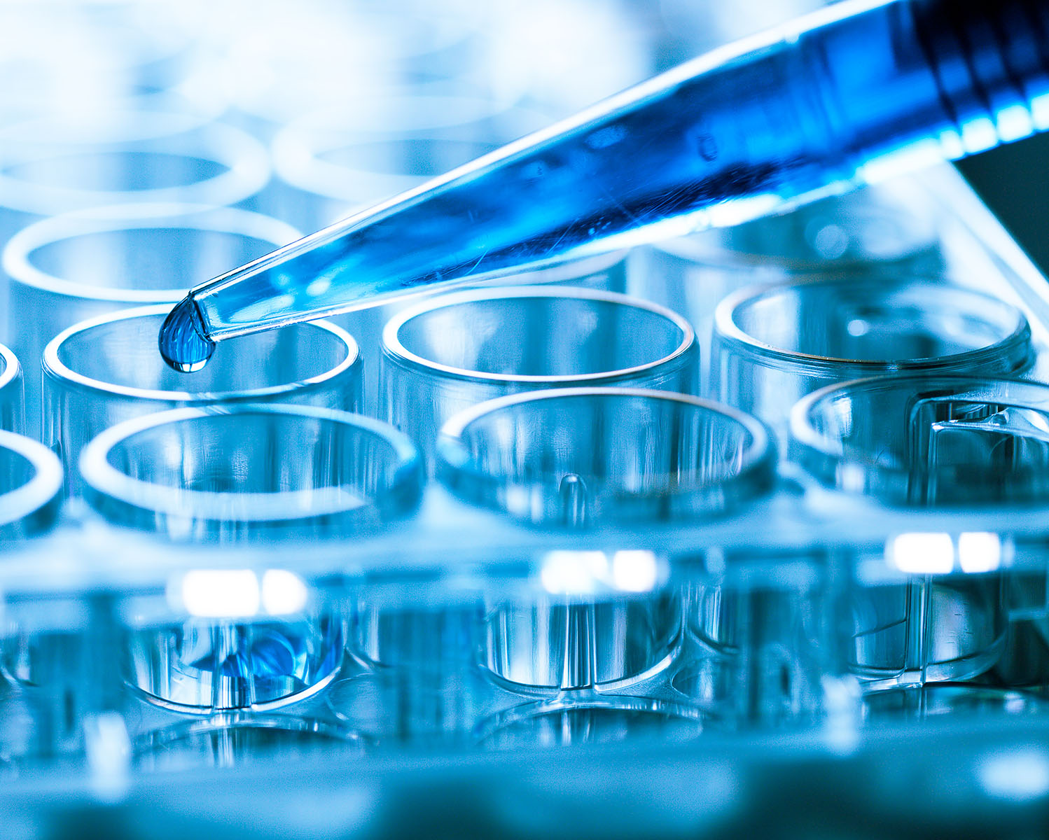 Specialized Pesticide & GMO Testing in U.S